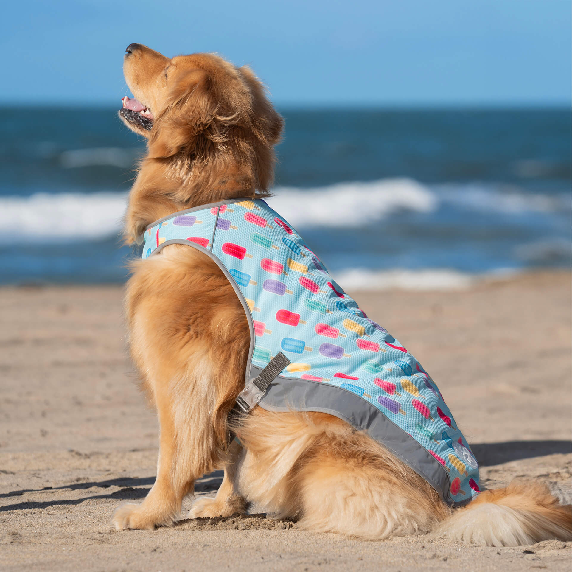 Product image 30