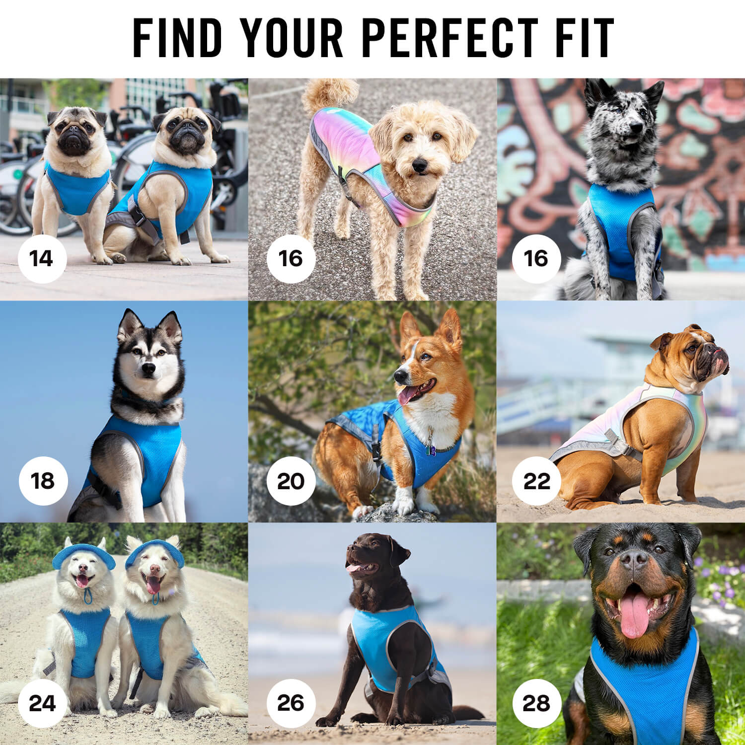 Product image 39