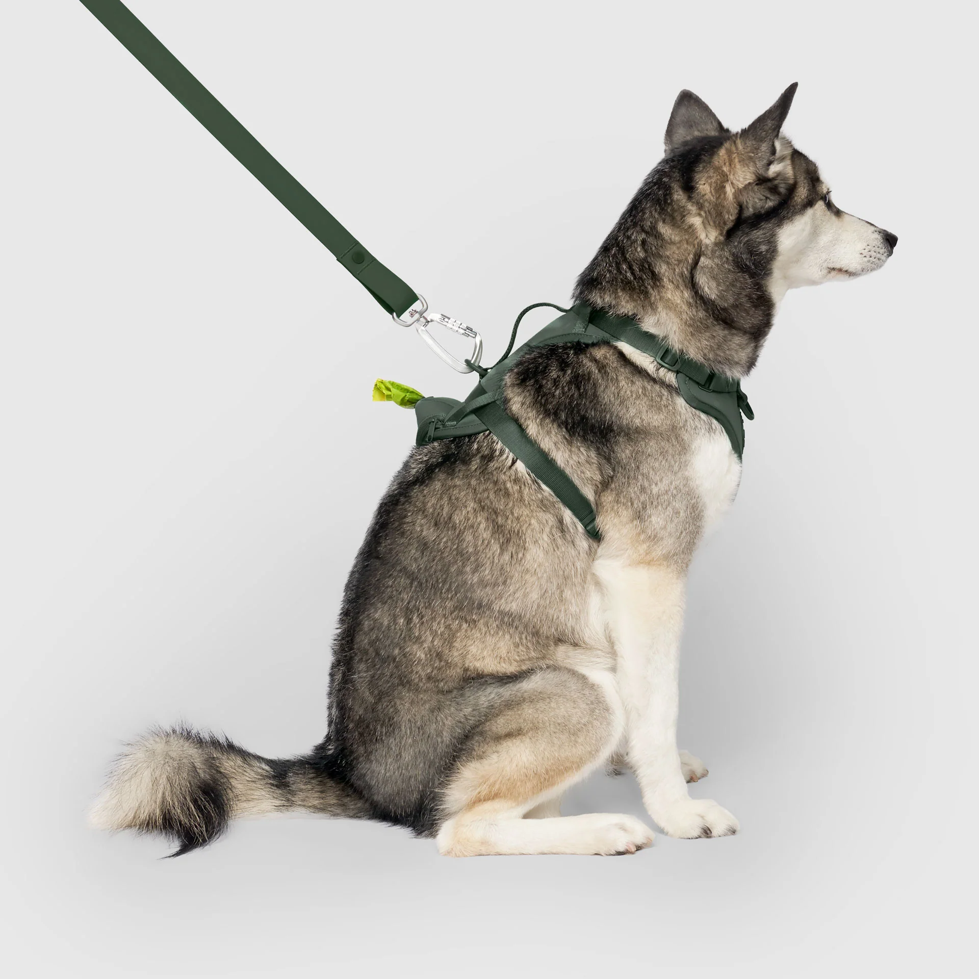 Best-Selling Dog Harnesses & 2-in-1